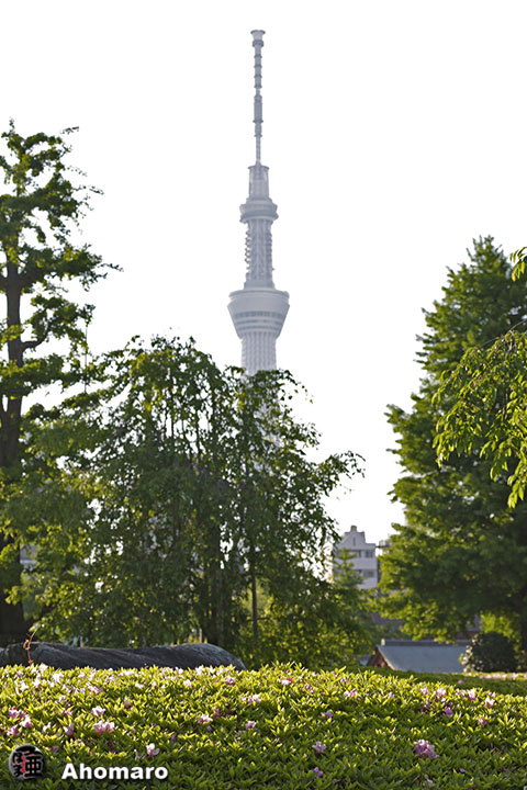 写真00