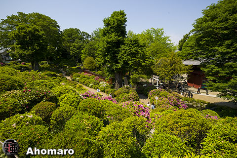 写真00