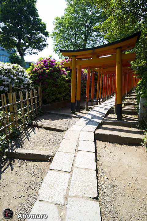 写真00