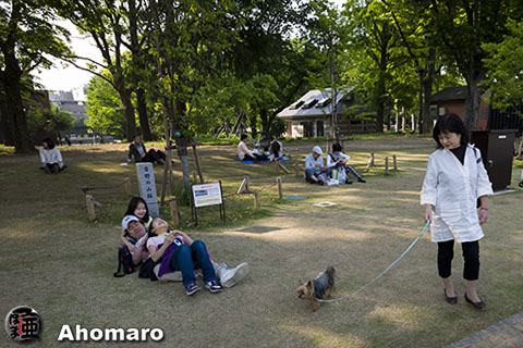 写真00