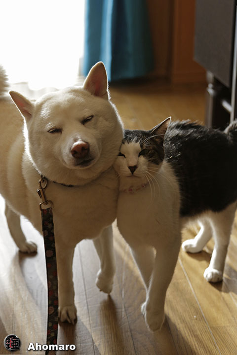 写真00