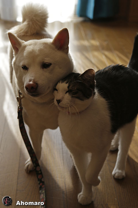 写真00