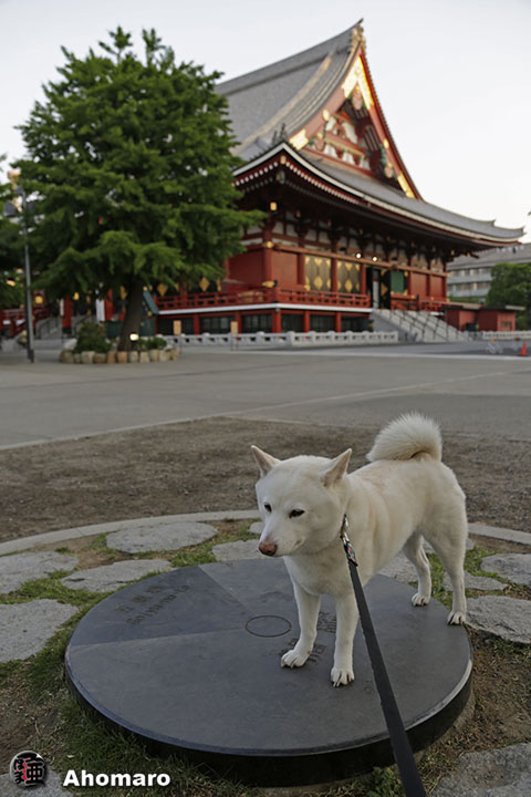 写真00