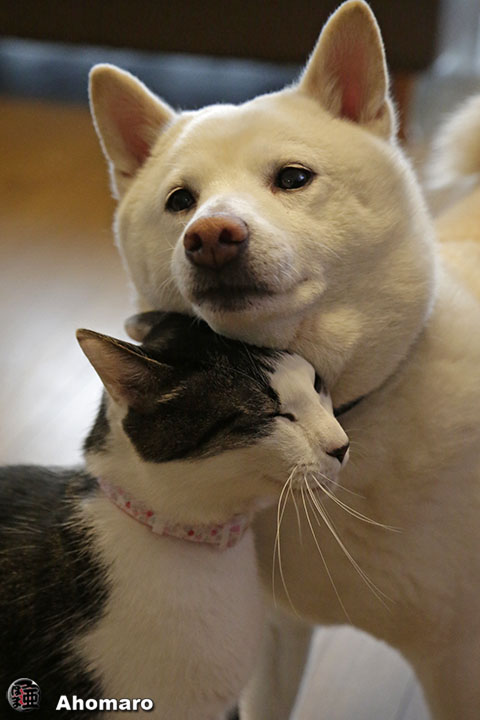 写真00