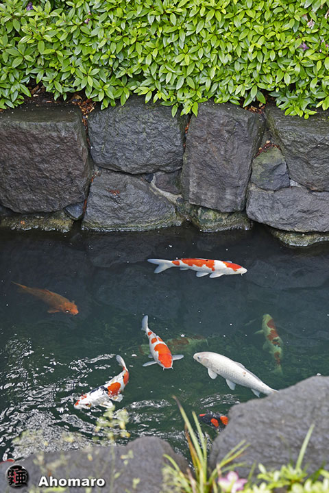 写真00
