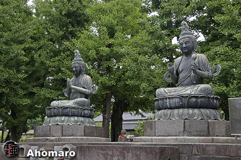 写真00