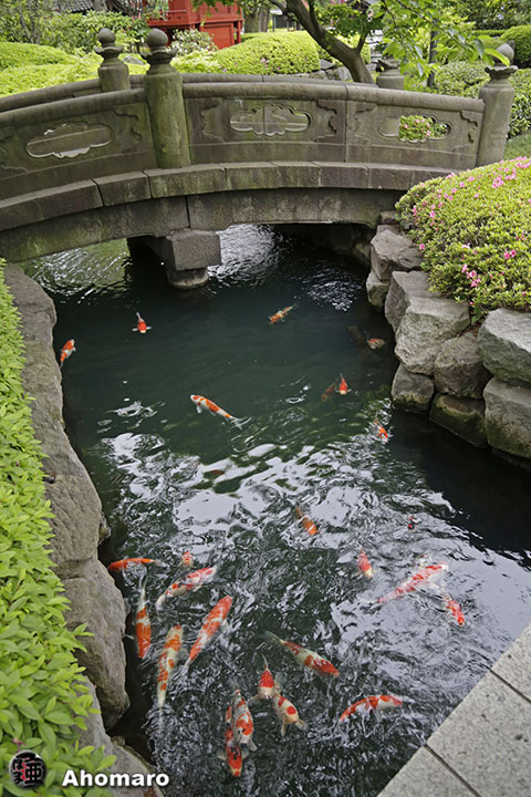 写真00