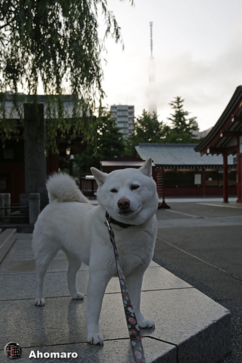 写真00