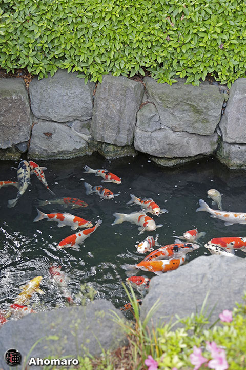 写真00