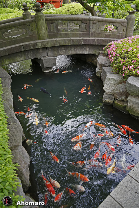 写真00