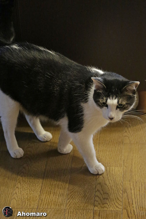 写真00
