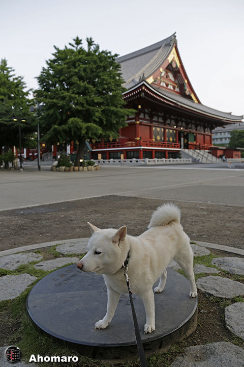 写真00