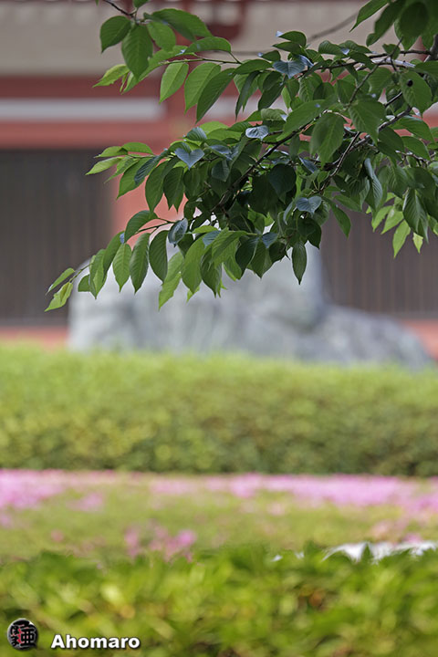 写真00