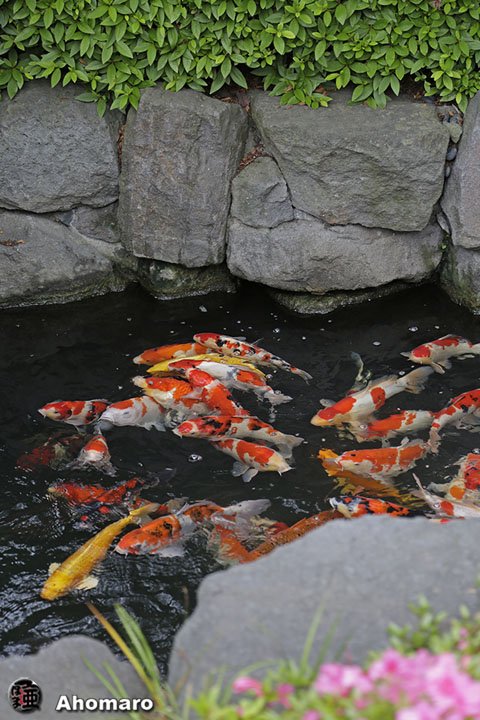 写真00