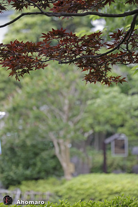 写真00