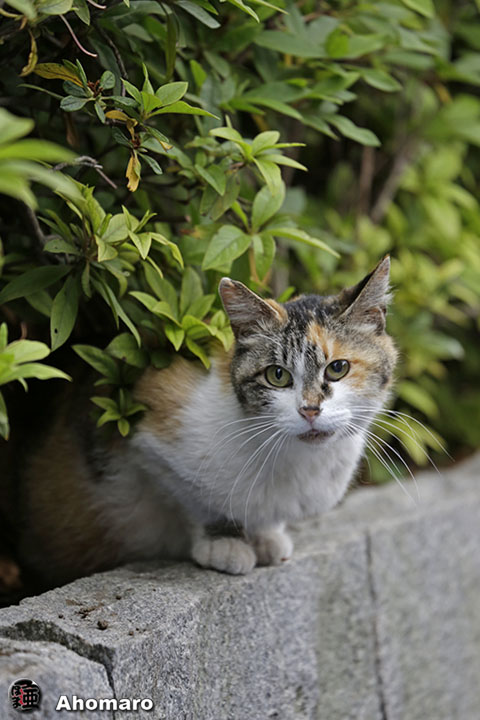 写真00