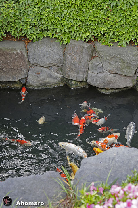 写真00