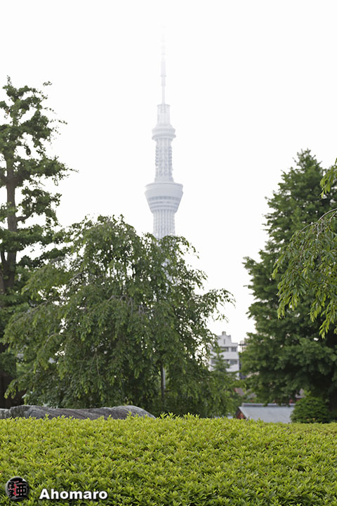 写真00