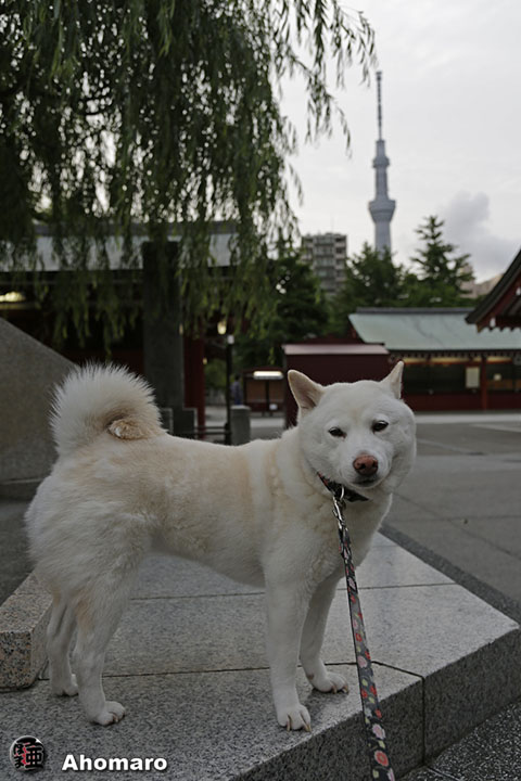 写真00