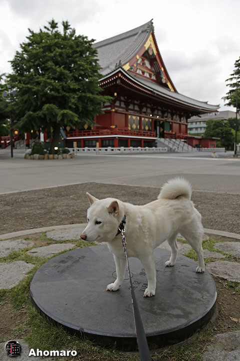 写真00