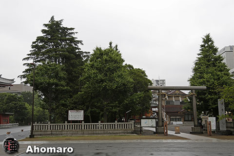 写真00