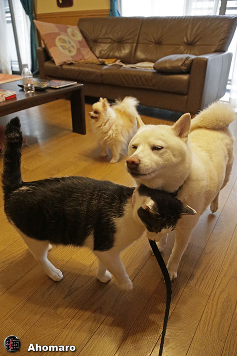 写真00