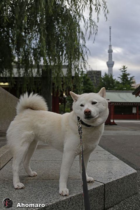 写真00