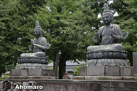 写真00