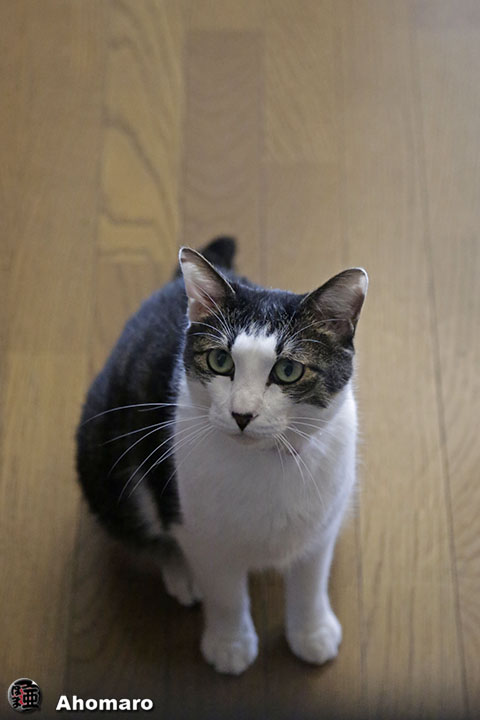 写真00