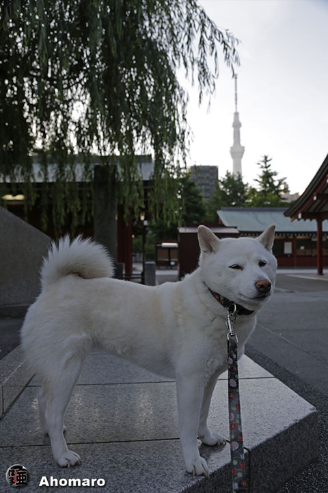 写真00