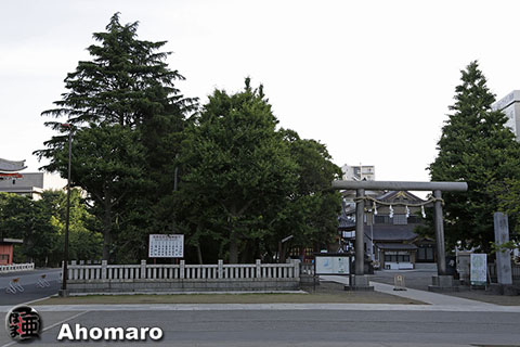 写真00