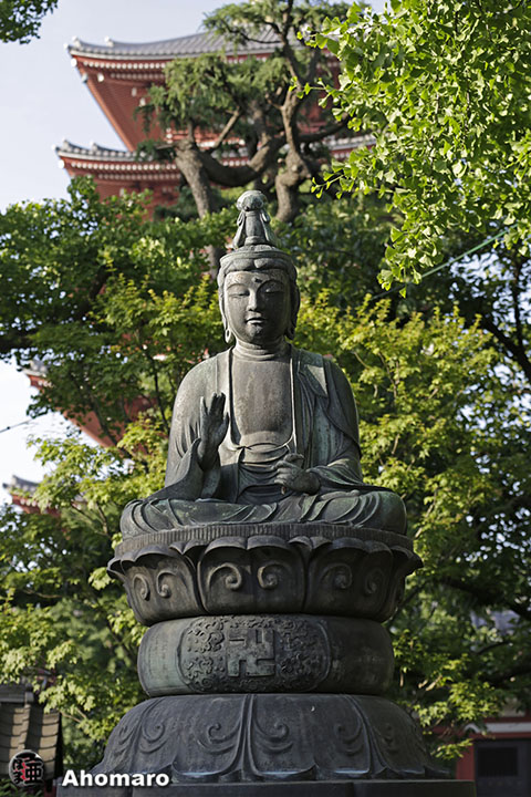 写真00