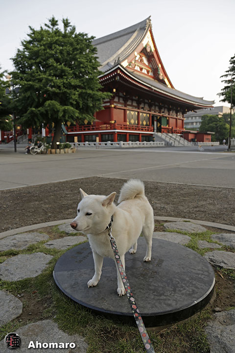 写真00