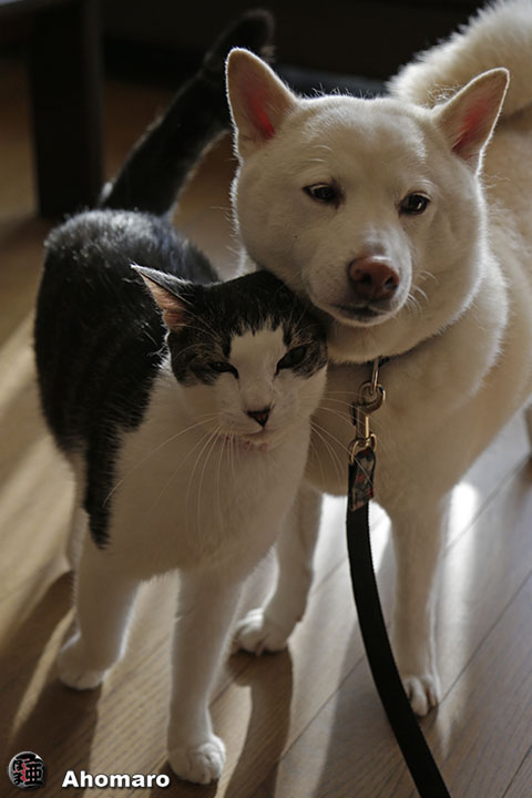 写真00