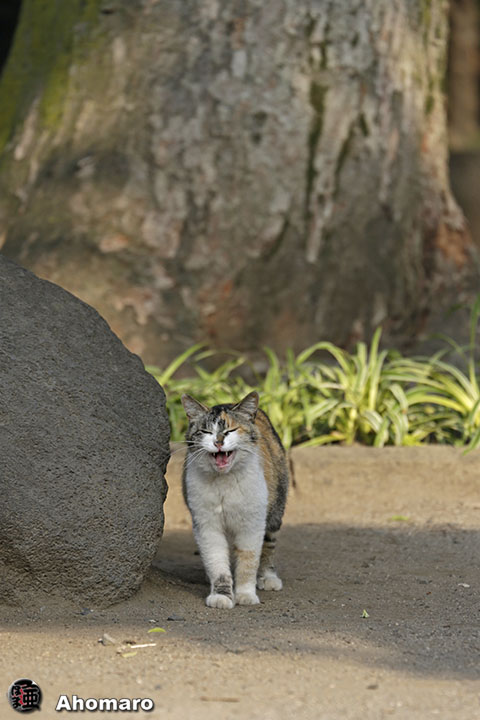 写真00