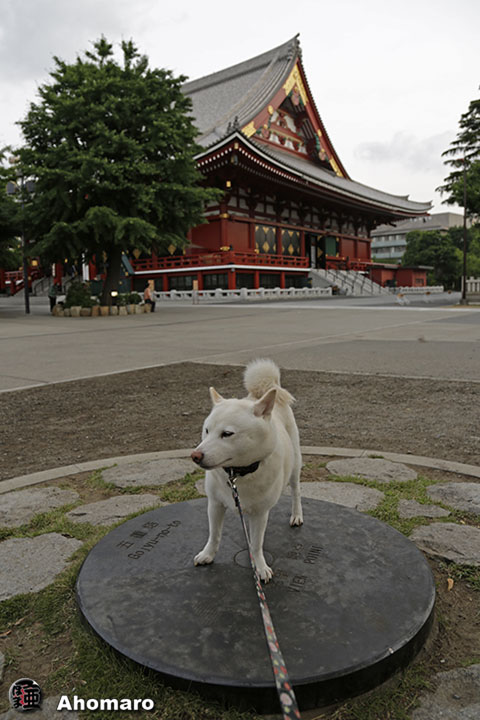 写真00
