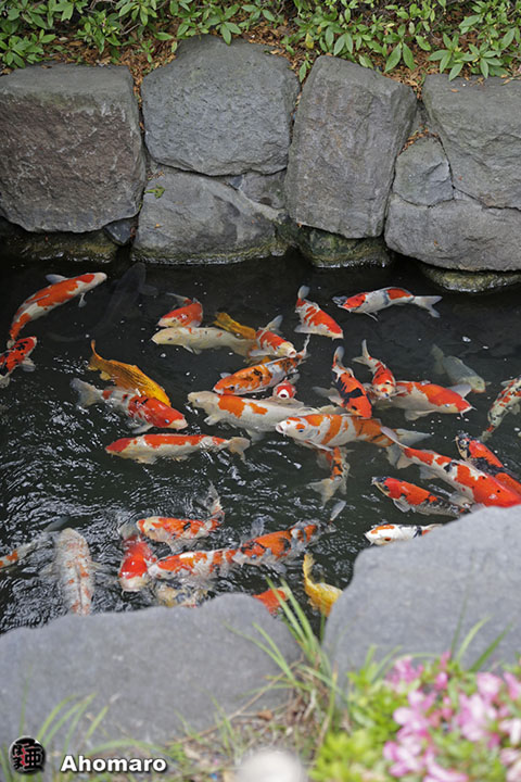 写真00
