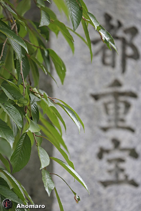 写真00