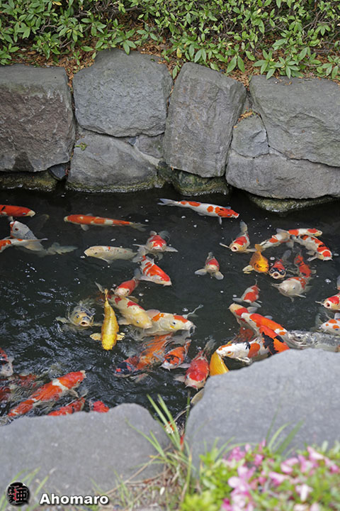 写真00