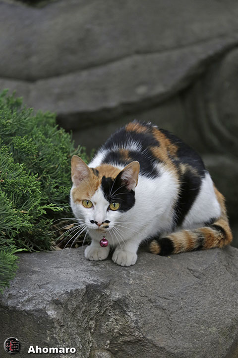 写真00