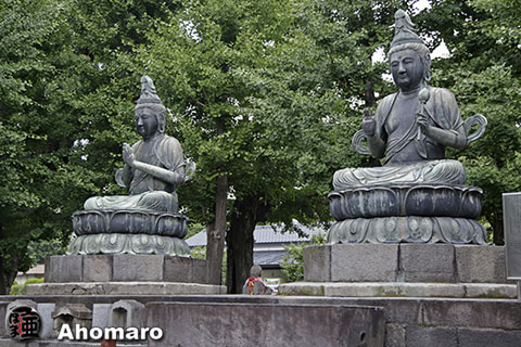 写真00