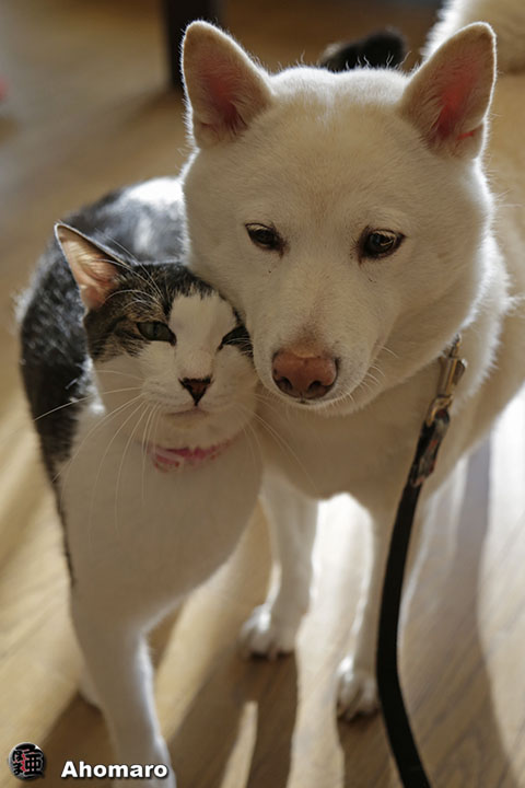 写真00