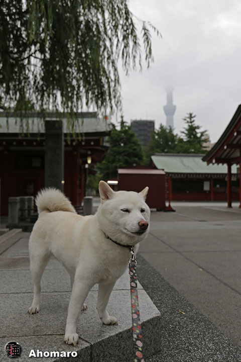 写真00