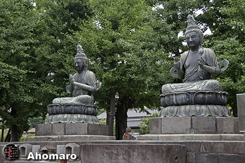 写真00
