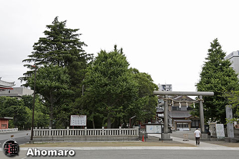 写真00