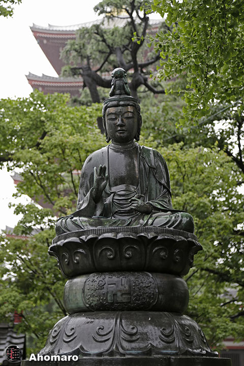 写真00