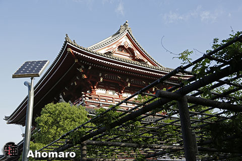 写真00