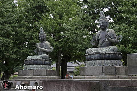 写真00
