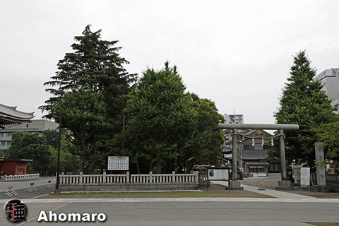 写真00