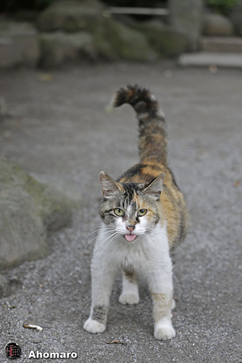 写真00